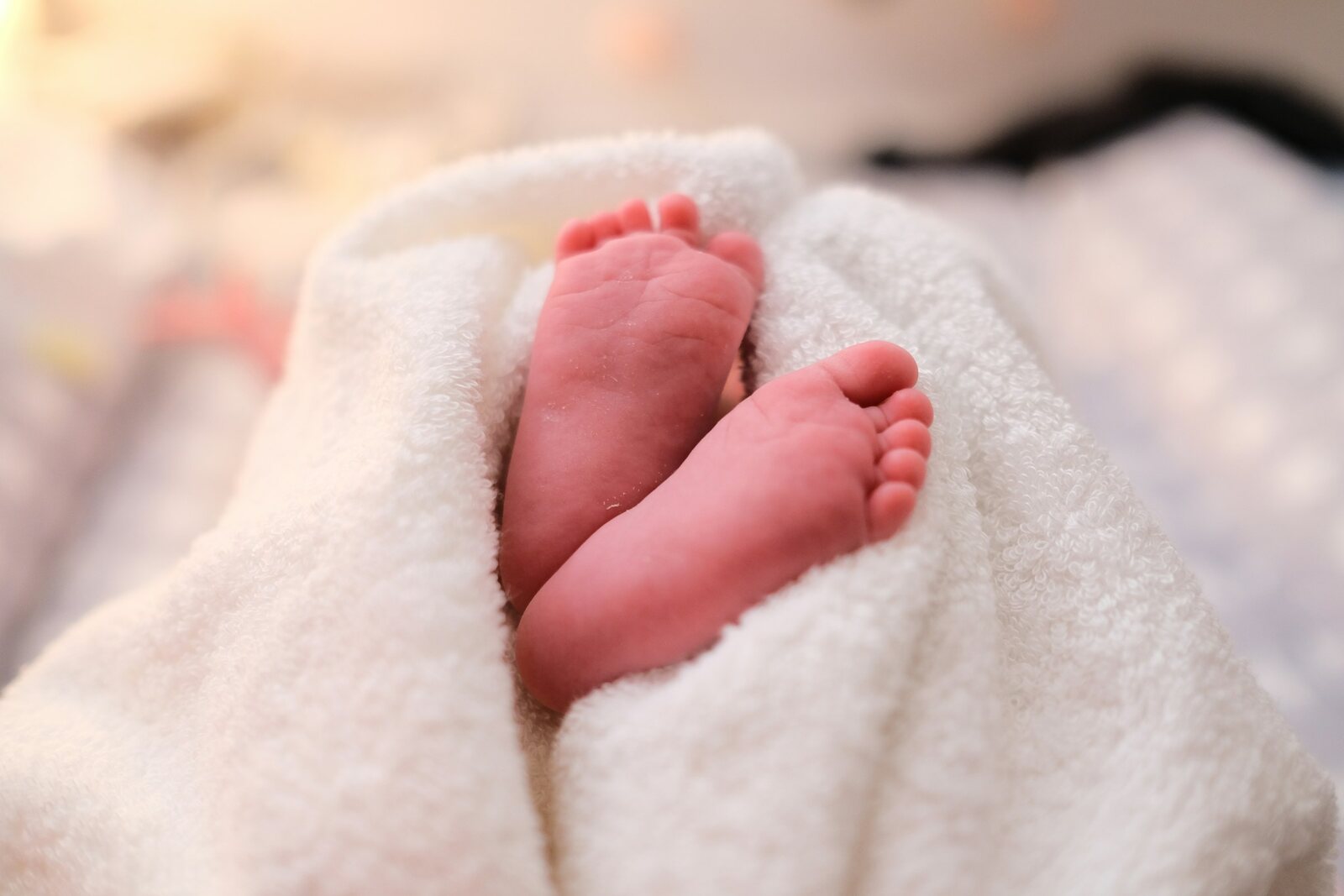 Newborn baby feet wrapped in a soft white blanket